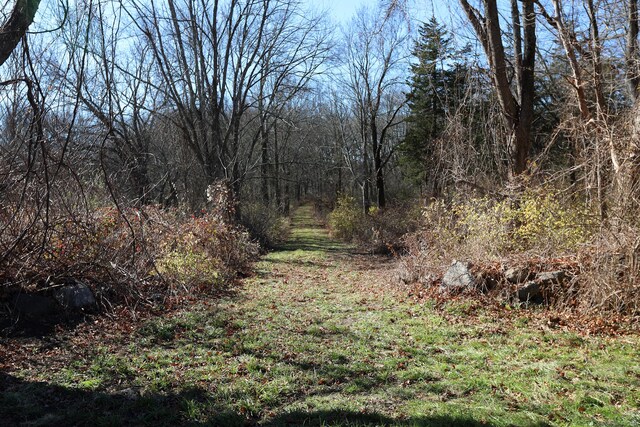 139 W Town St, Lebanon, CT 06249 - view of wooded area