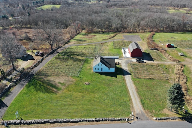 drone / aerial view featuring a rural view