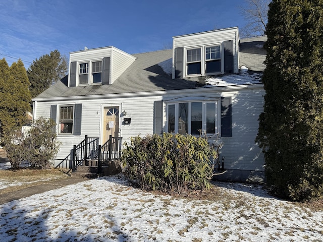 view of cape cod house