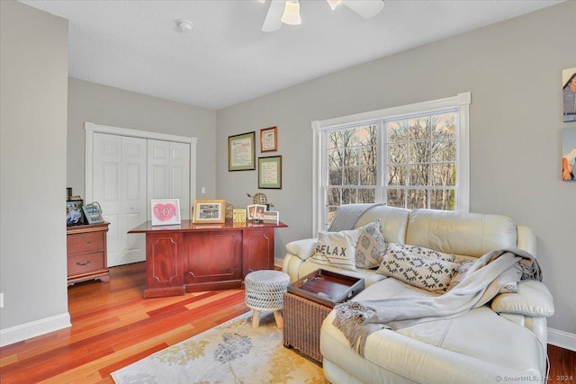 living room featuring wood-type flooring