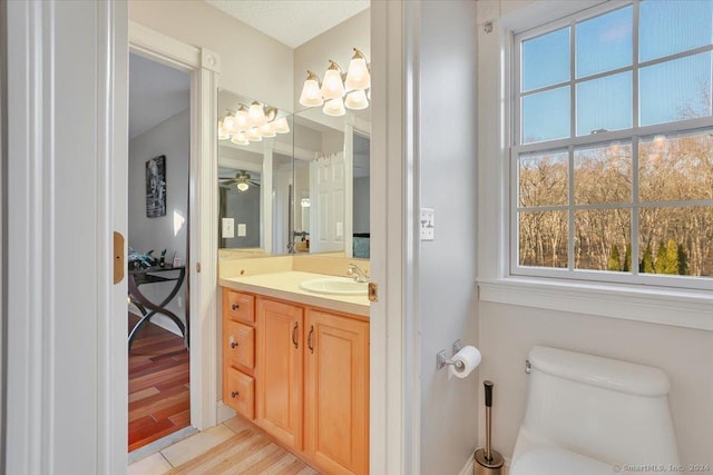 bathroom featuring vanity, toilet, and wood-type flooring