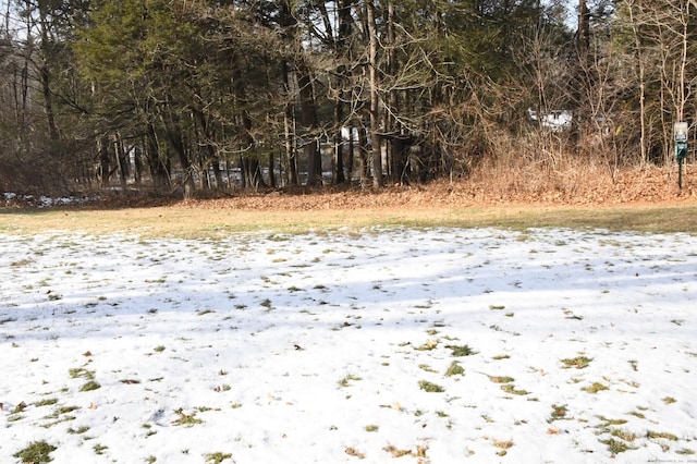 view of snowy yard