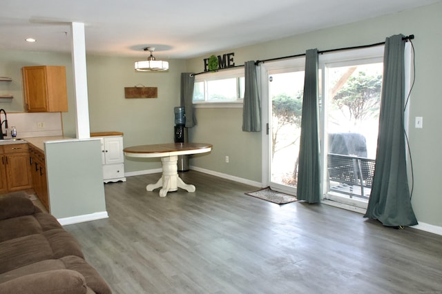 interior space featuring hardwood / wood-style flooring and sink