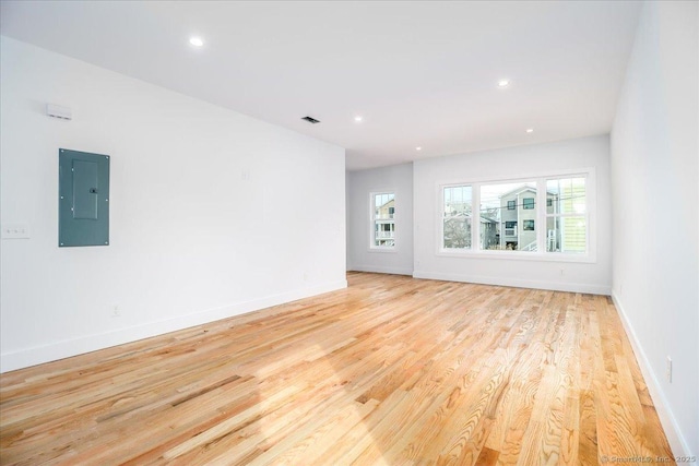 spare room featuring a wealth of natural light, electric panel, and light hardwood / wood-style flooring