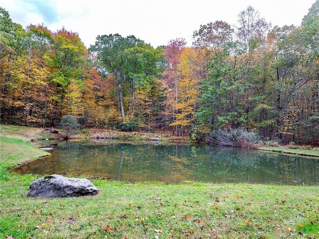 view of yard featuring a water view