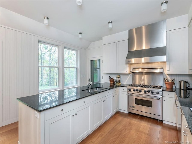 kitchen featuring sink, light hardwood / wood-style flooring, wall chimney exhaust hood, designer stove, and white cabinetry