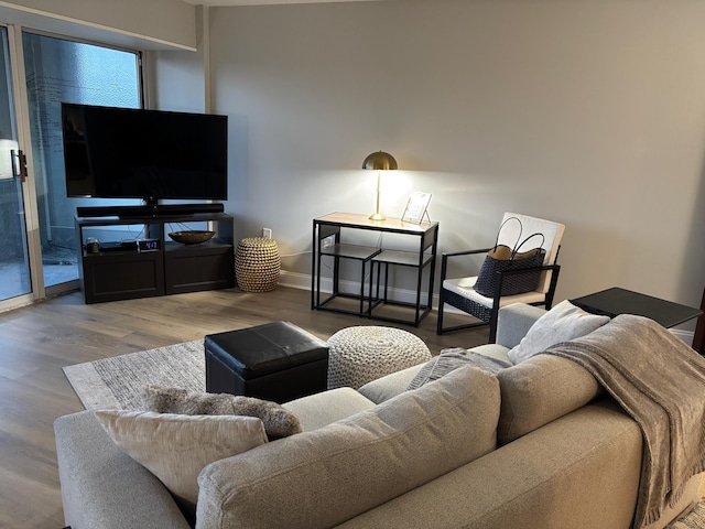 living room featuring hardwood / wood-style flooring