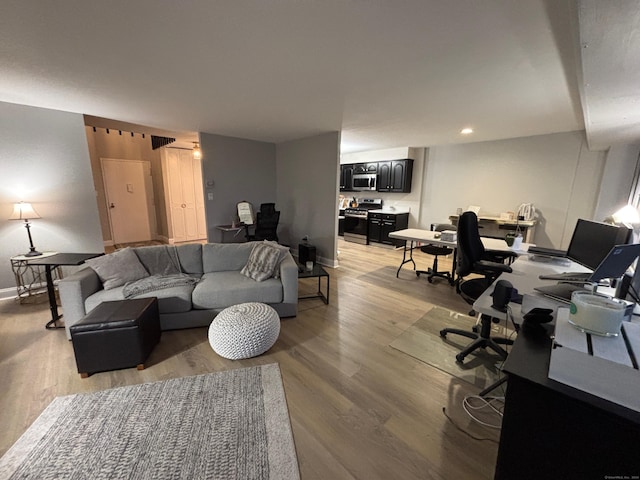 living room with hardwood / wood-style flooring