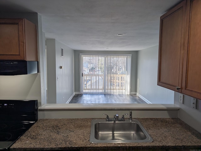 kitchen with range, extractor fan, and sink