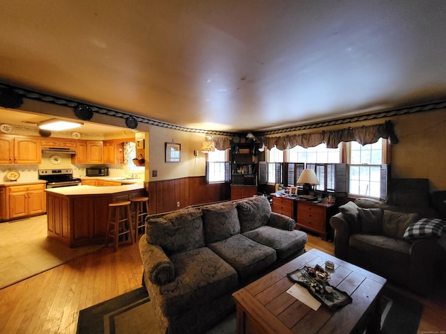 living room featuring light hardwood / wood-style flooring