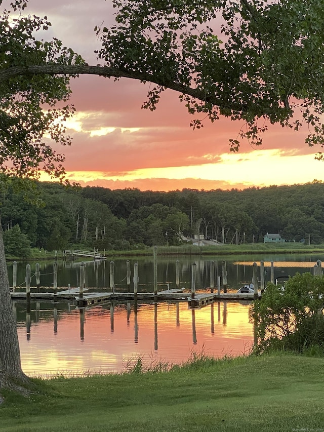 view of home's community with a water view and a dock