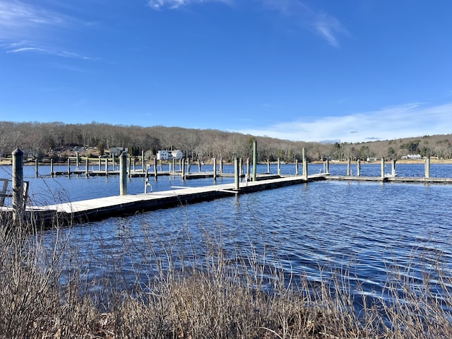 dock area with a water view