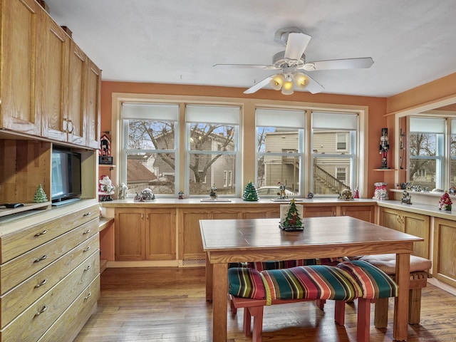 dining space featuring ceiling fan, plenty of natural light, and light hardwood / wood-style floors