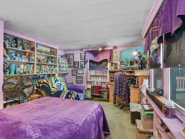 carpeted bedroom with rail lighting and crown molding