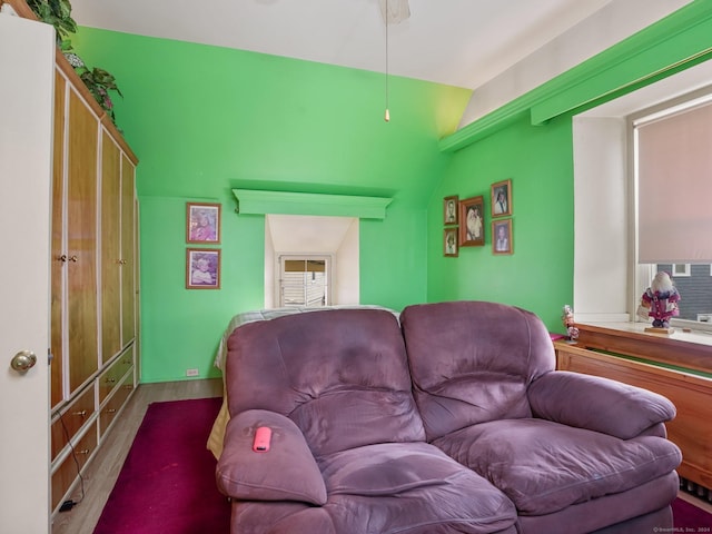 living room with wood-type flooring and lofted ceiling