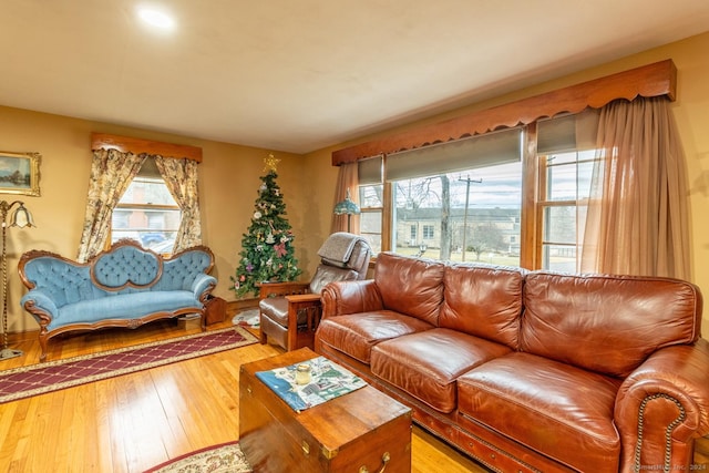 living room featuring wood-type flooring