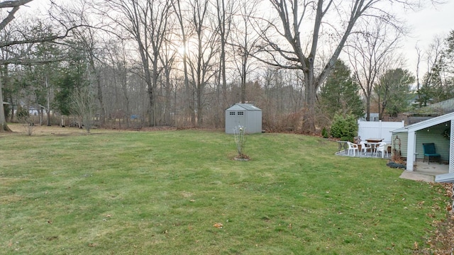 view of yard featuring a patio area and a shed