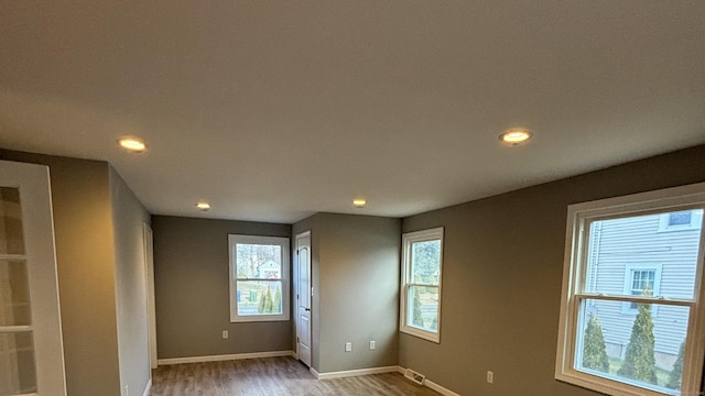 spare room featuring plenty of natural light and wood-type flooring