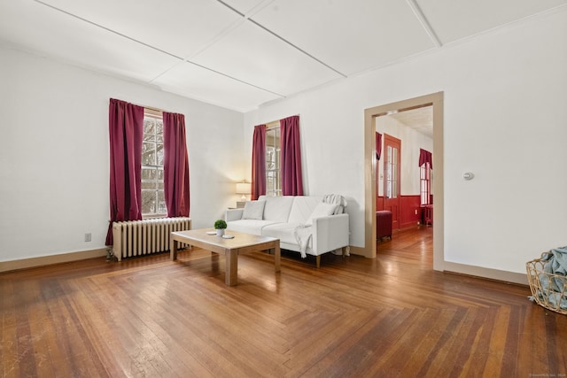 living room featuring wood-type flooring and radiator