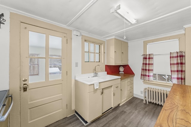 kitchen with cream cabinets, radiator heating unit, crown molding, and dark hardwood / wood-style floors