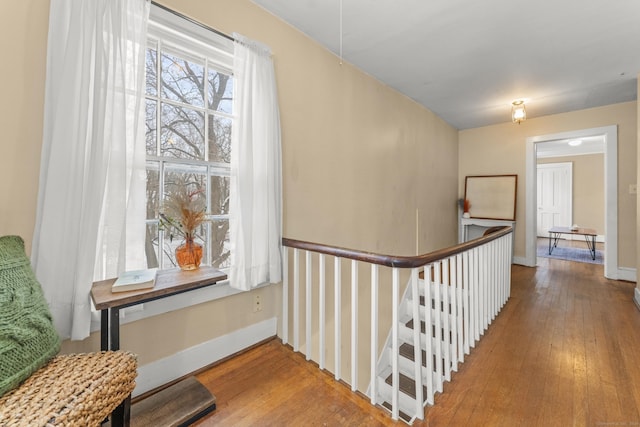 hall with hardwood / wood-style floors