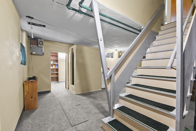 staircase featuring carpet floors