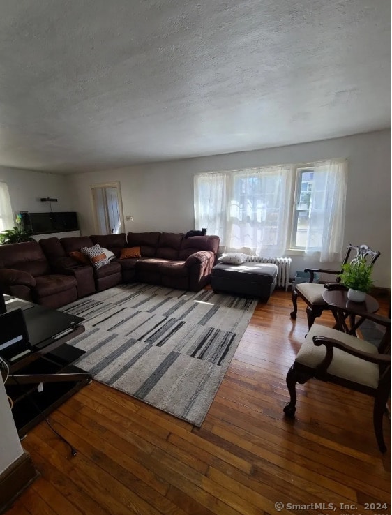 living room featuring wood-type flooring and a textured ceiling