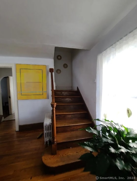 staircase featuring hardwood / wood-style floors and radiator