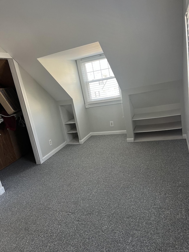 additional living space featuring carpet flooring