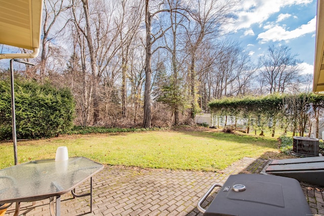 view of yard featuring cooling unit and a patio area