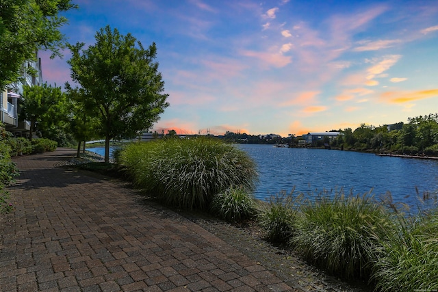 view of water feature