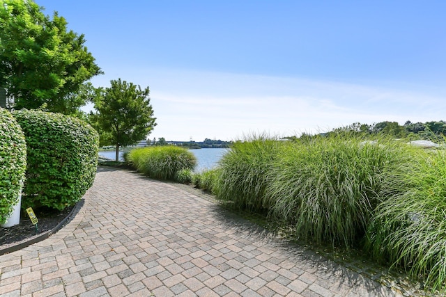 view of property's community with a water view