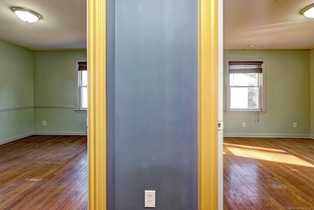 hallway featuring wood-type flooring