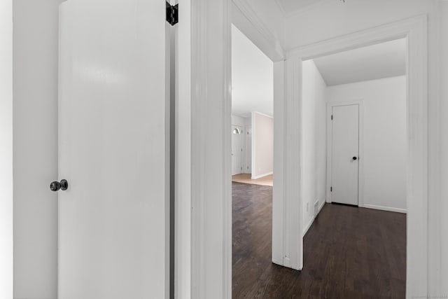 hall featuring dark wood-type flooring