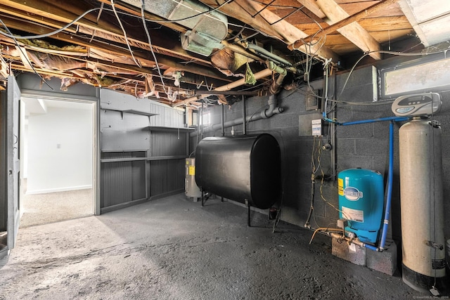 basement with electric water heater