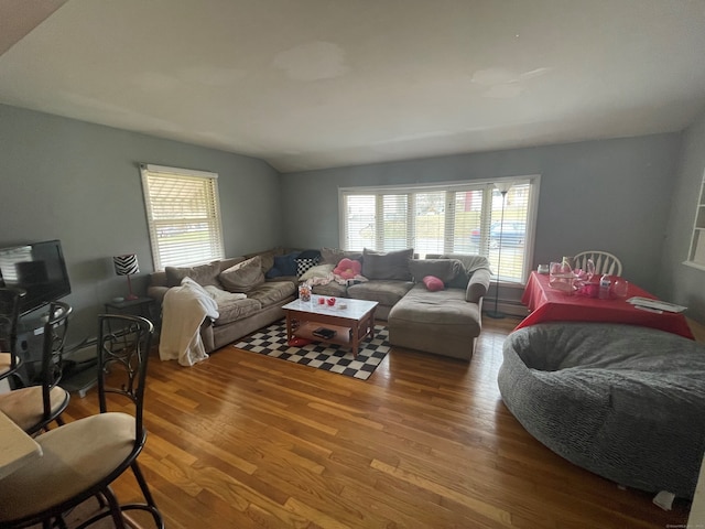 living room featuring wood-type flooring