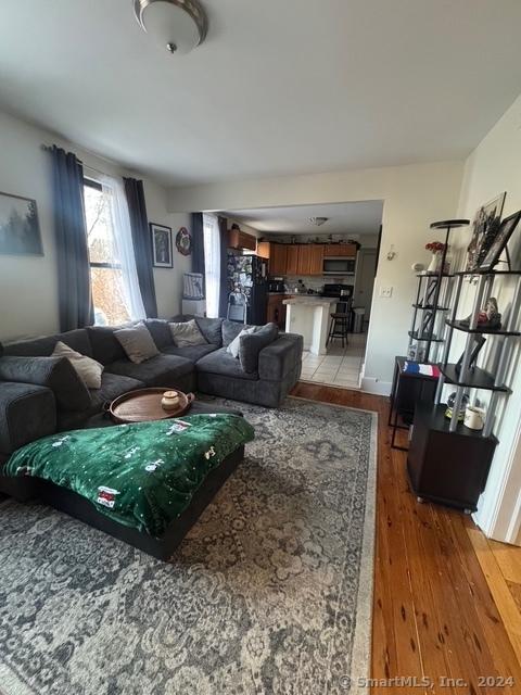 living room with light hardwood / wood-style flooring