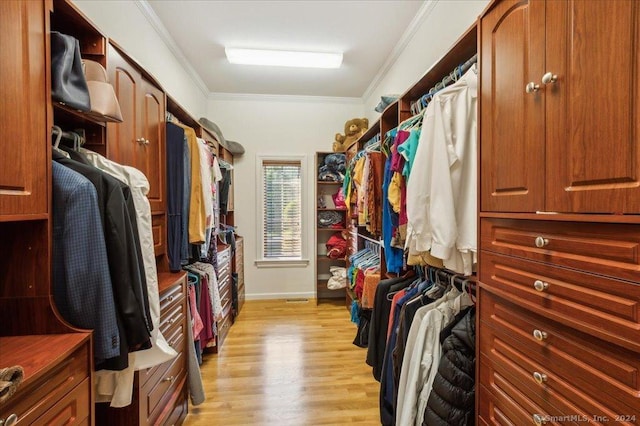 spacious closet with light wood-type flooring