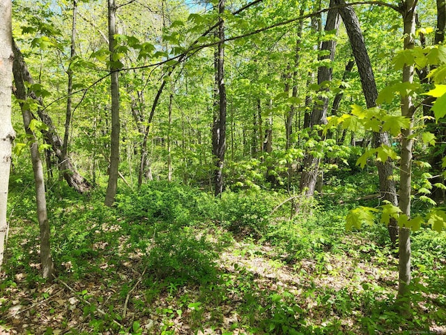 view of landscape