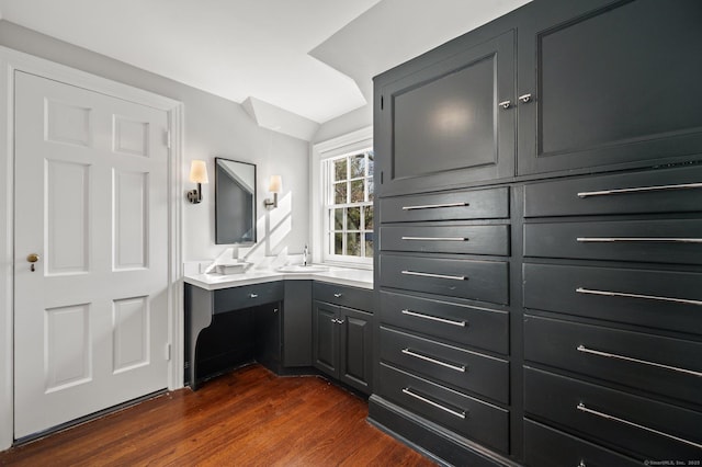 bathroom featuring vanity and wood finished floors