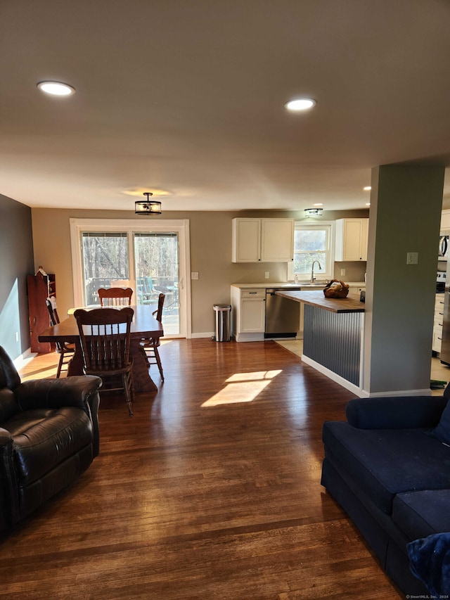 living room featuring dark hardwood / wood-style flooring, plenty of natural light, and sink