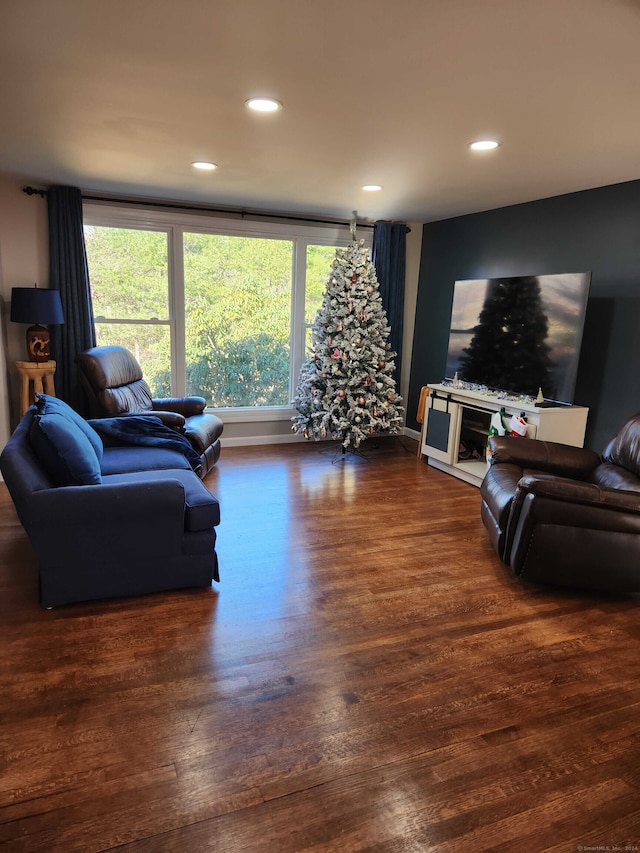 living room featuring dark hardwood / wood-style floors