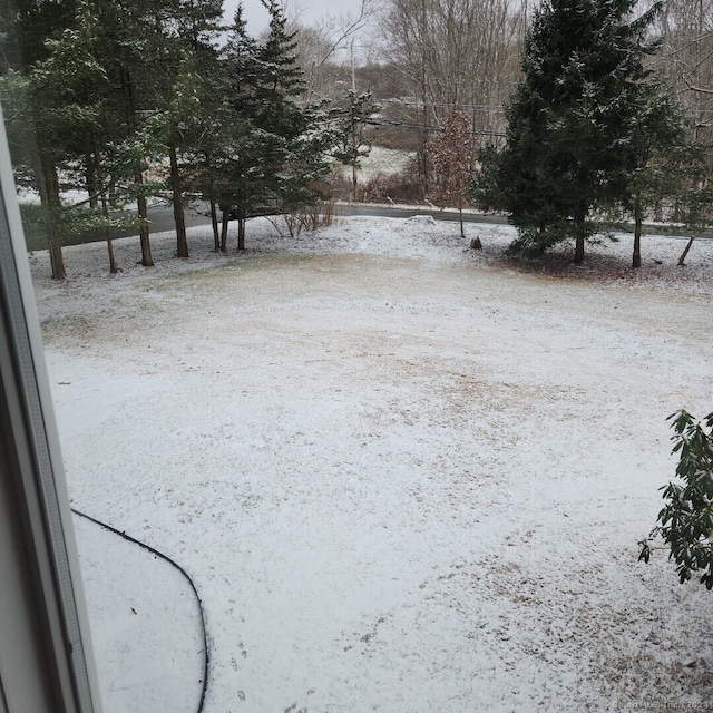 view of yard covered in snow