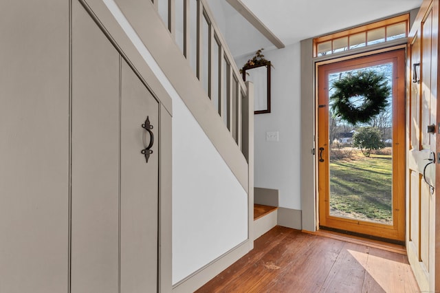 foyer with hardwood / wood-style flooring and a wealth of natural light