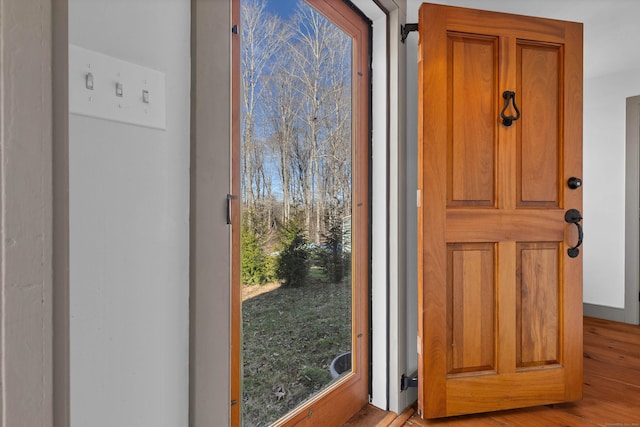 doorway to outside featuring light hardwood / wood-style floors