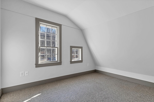 additional living space with carpet and vaulted ceiling