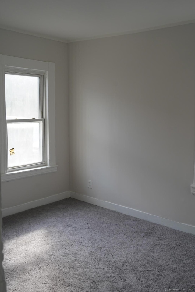 7 Wilson St, Bridgeport, CT 06605 - photo 6