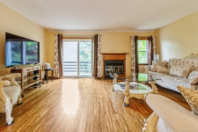 living area featuring wood finished floors and a fireplace with flush hearth