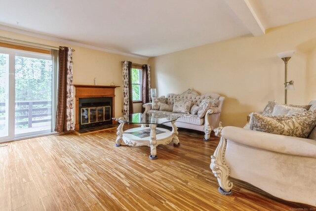 55 Mill Plain Rd Unit 20-5, Danbury, CT 06811 - living area featuring wood finished floors, a glass covered fireplace, and beam ceiling