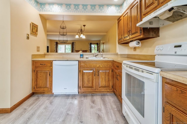 kitchen with white appliances, under cabinet range hood, a sink, brown cabinets, and light wood finished floors
